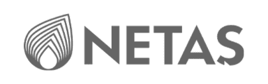 NETAS